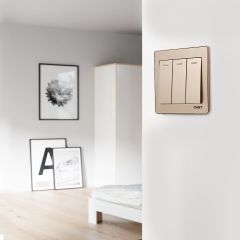 Switch 3G1W 16A 250V-Ch 10Y