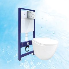 Concealed Tank with Toilet