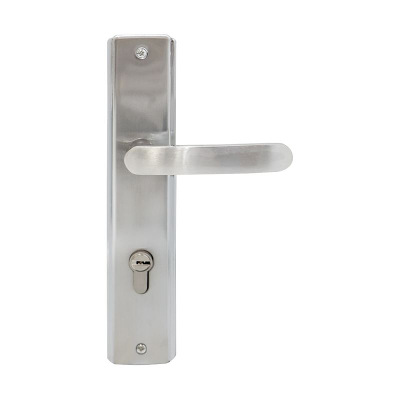 Modern Door Lock Set Eith Plate 20109L89H58SN/CP