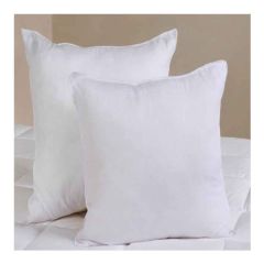 Filled Cushion 45X45Cm