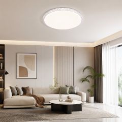 Plastic Ceiling Light