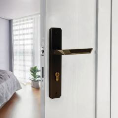 Modern Door Lock With Plate